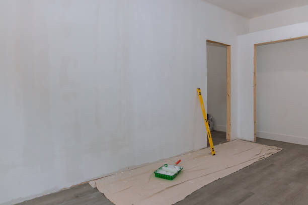Best Attic Mold Removal  in Roseland, FL