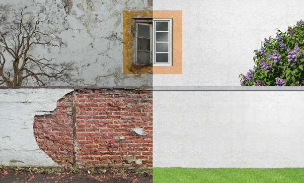 Best Attic Mold Removal  in Roseland, FL